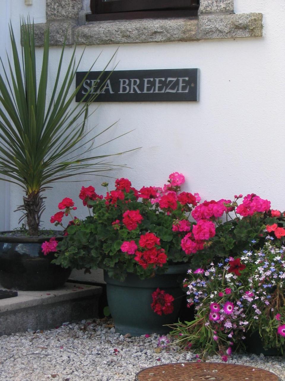 St Ives Sea Breeze B&B 외부 사진